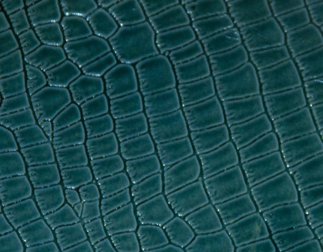 Croco Verniz verde